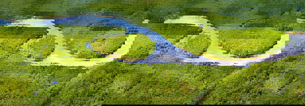 Can nature prevent flooding?