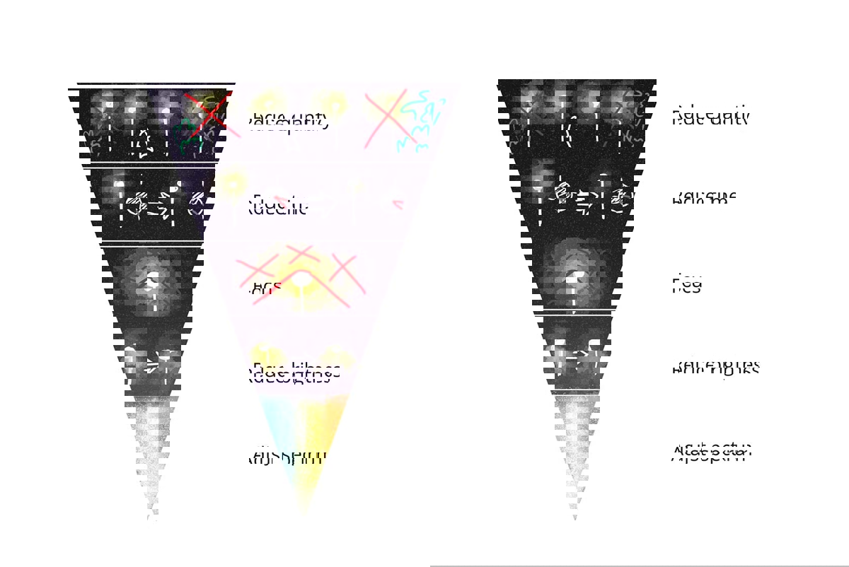 The hierarchy of solutions to limit lighting effects on nocturnal species