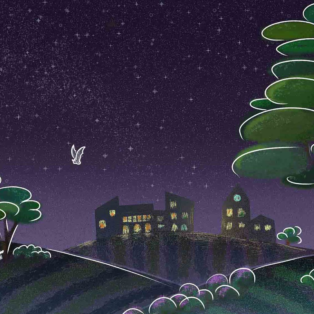 Relighting and rewilding our environment illustration