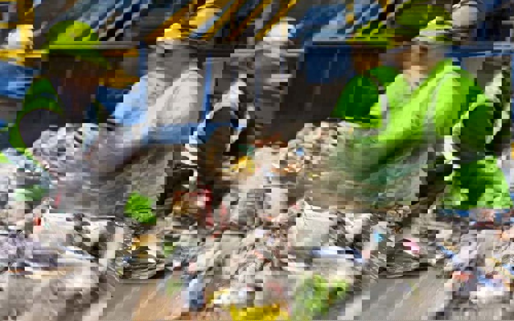 Recycling facility