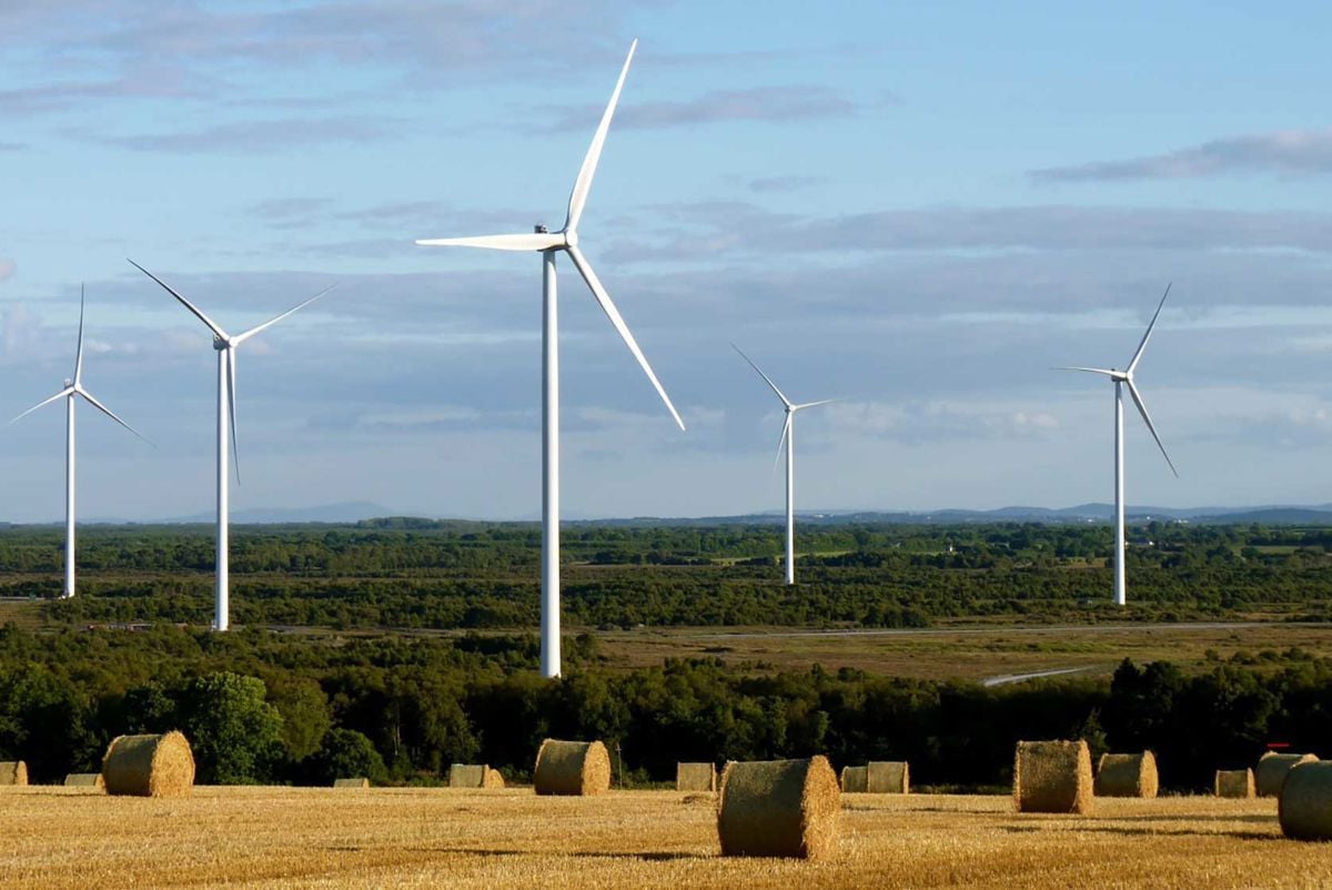 Mountlucas Wind Farm. Credit: Bord na Mona