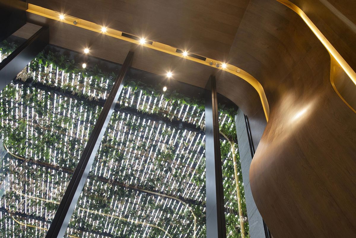 Sustainable building materials used in the project including certified wood