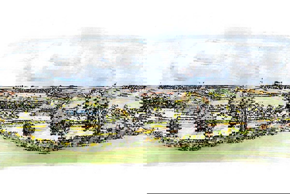 	Illustrative view of interventions after 15 years, helping create a integrated and self-sustaining landscape.