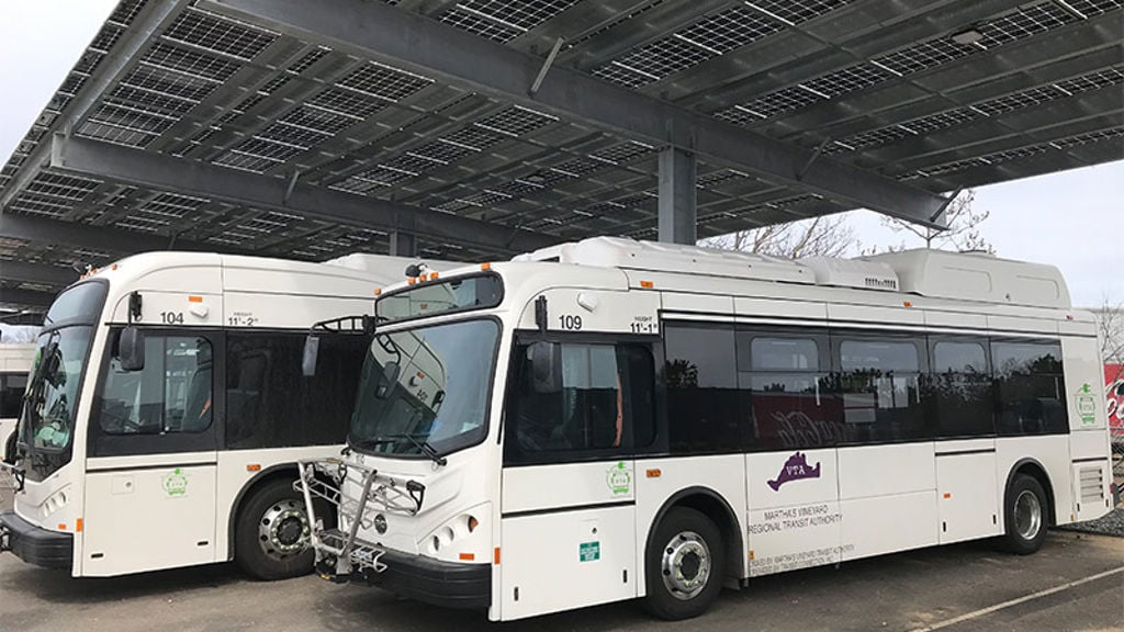 Buses parked under a solar array