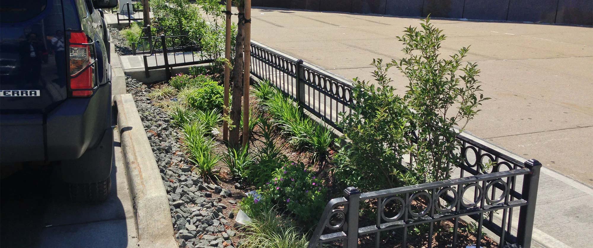 Trees and bushes planted on a New York sidewalk