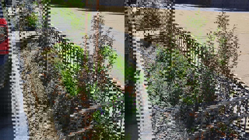 Trees and bushes planted on a New York sidewalk