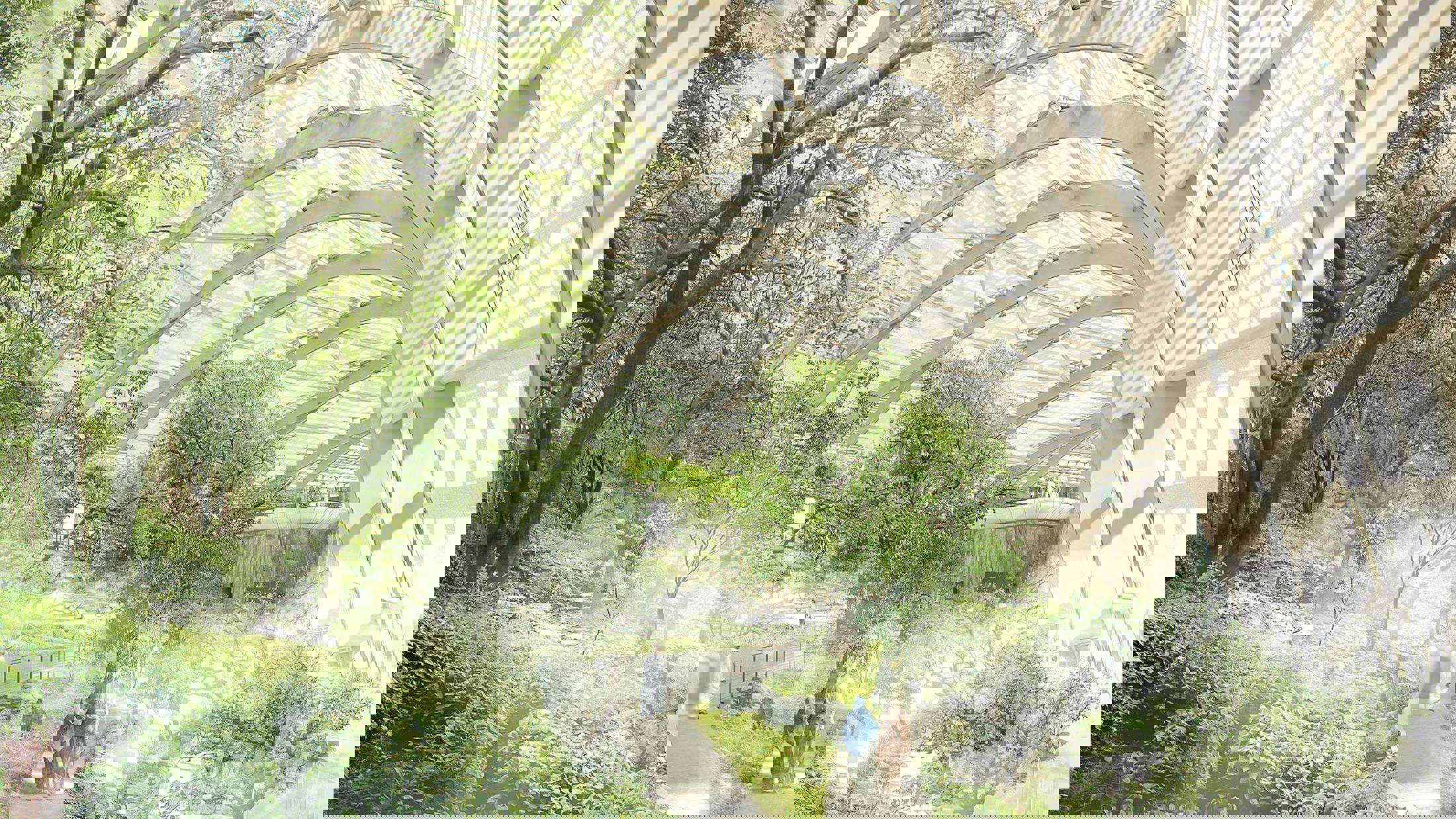 The Southern Biome encloses a green forest 'Khareef'