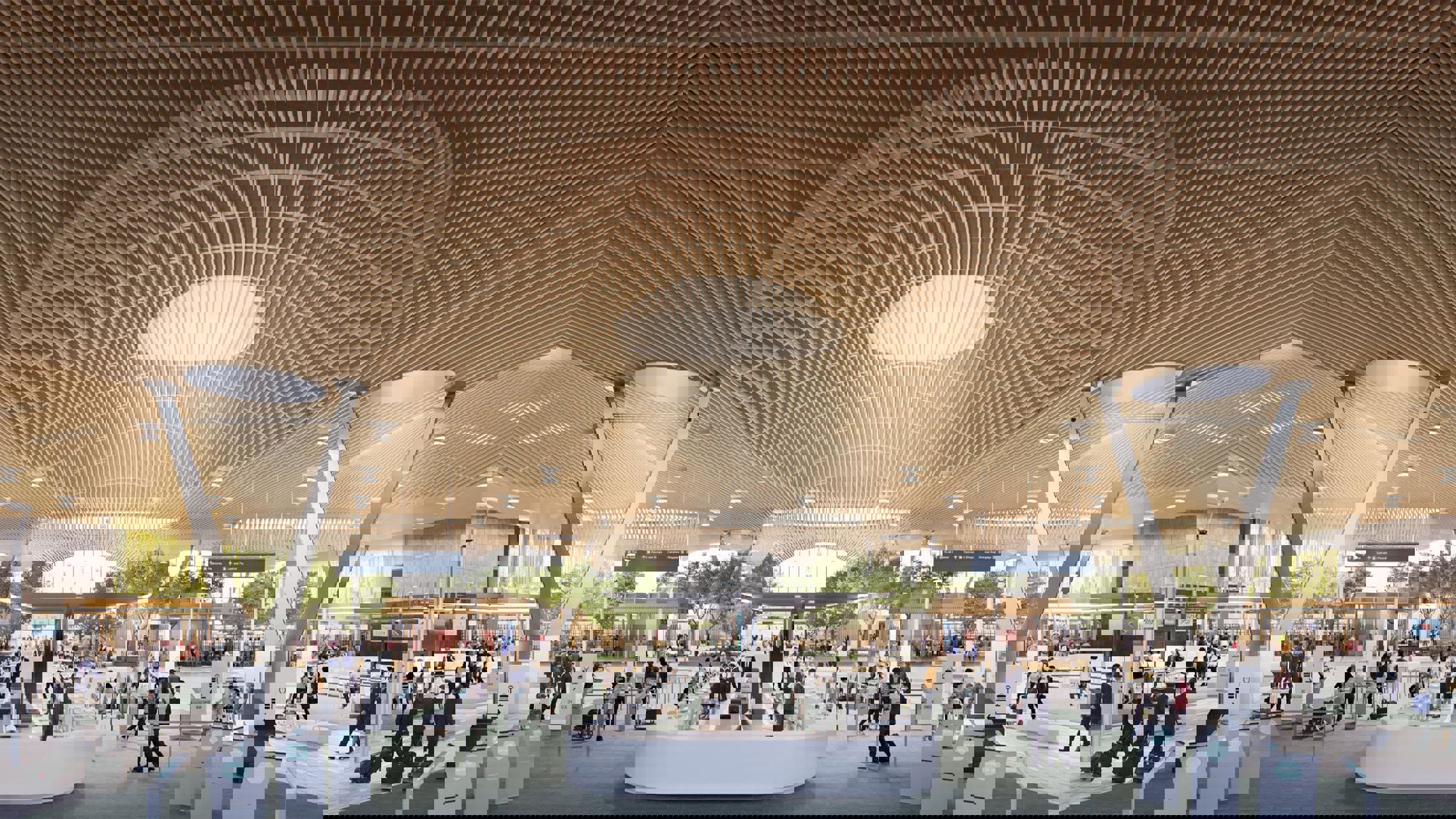 Long-span mass timber roof inside airport. Credit ZGF Architects