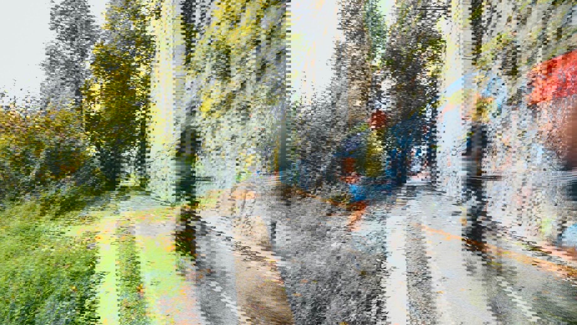 Cyclist on a dedicated cycle path