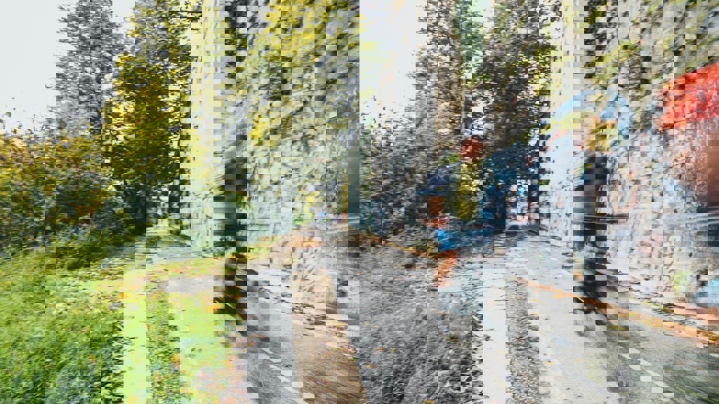 Cyclist on a dedicated cycle path
