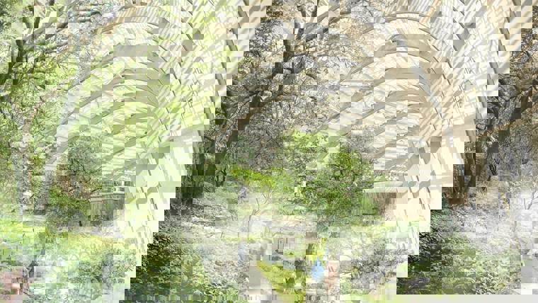 Oman Botanical Gardens