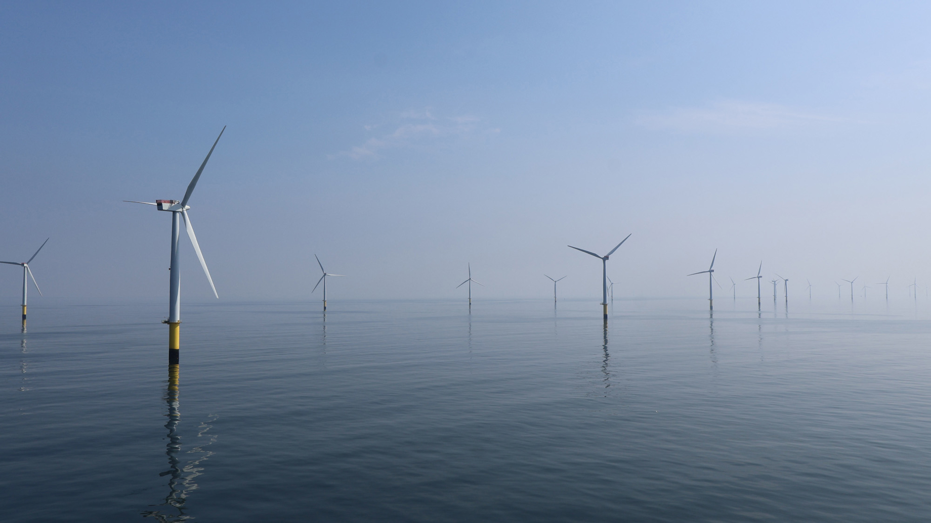 An offshore wind farm