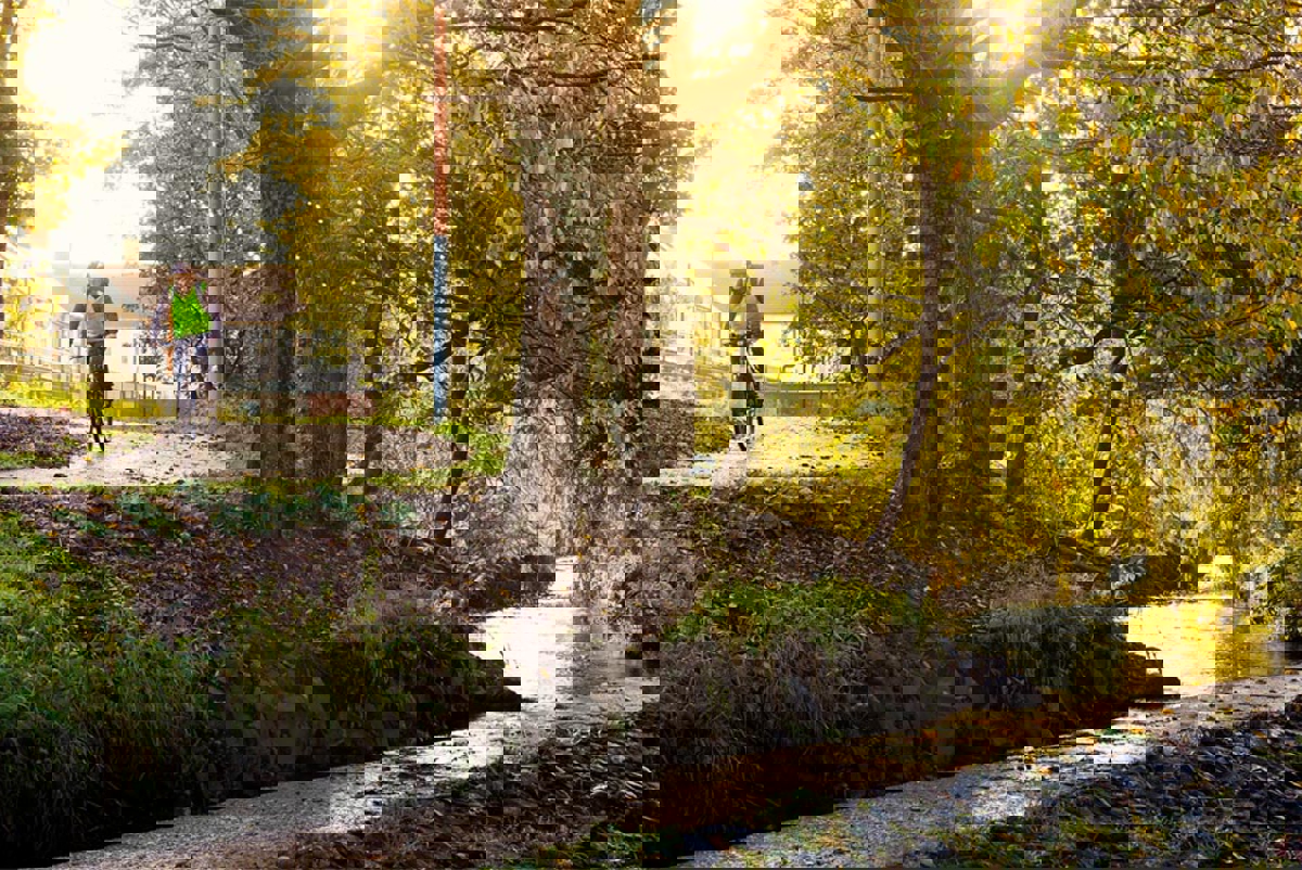 Connswater nature