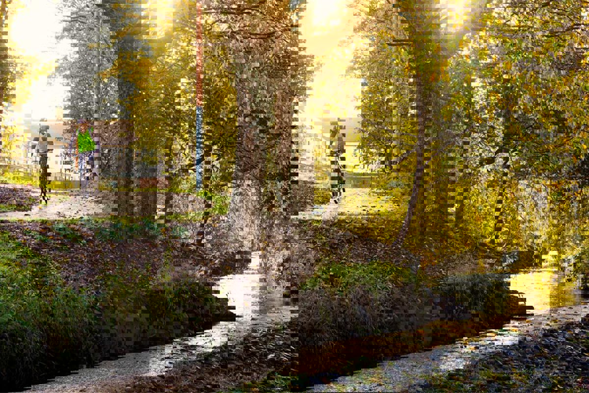 Connswater nature